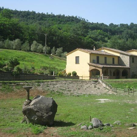 Apartament Alloggio Turistico Mooneyes Castiglione In Teverina Zewnętrze zdjęcie