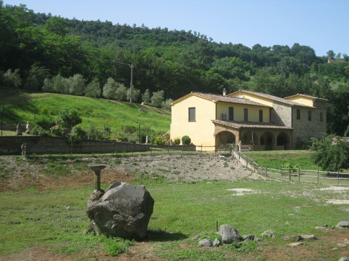 Apartament Alloggio Turistico Mooneyes Castiglione In Teverina Zewnętrze zdjęcie
