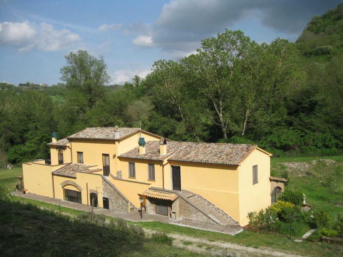 Apartament Alloggio Turistico Mooneyes Castiglione In Teverina Zewnętrze zdjęcie