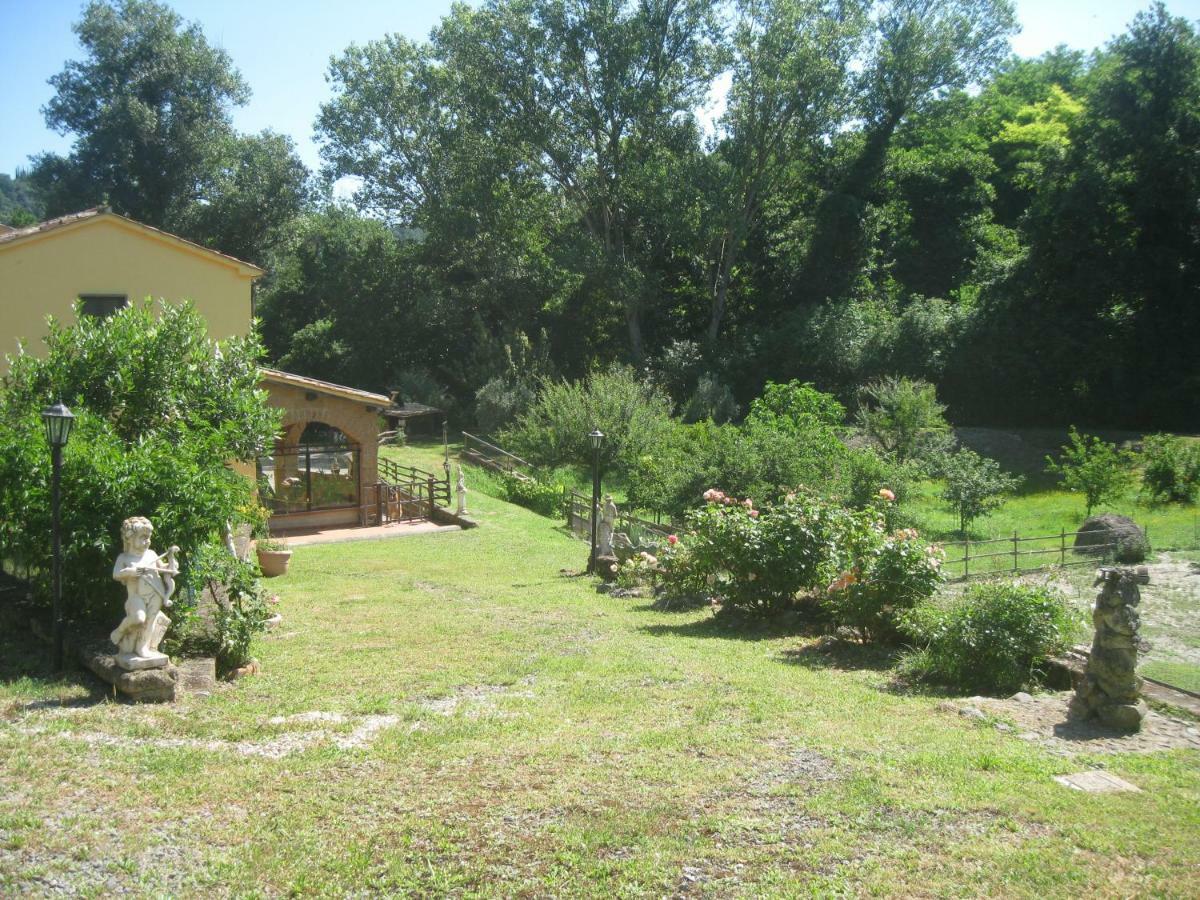Apartament Alloggio Turistico Mooneyes Castiglione In Teverina Zewnętrze zdjęcie