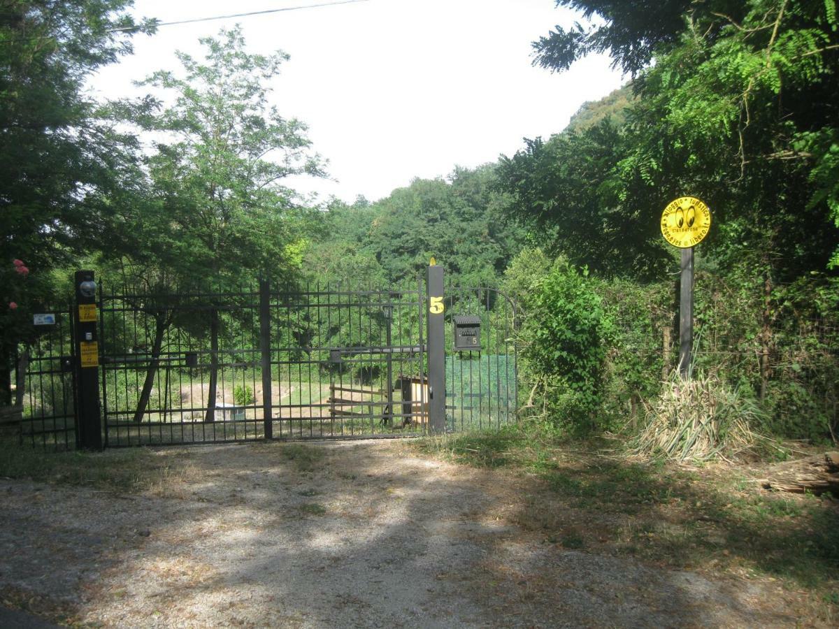 Apartament Alloggio Turistico Mooneyes Castiglione In Teverina Zewnętrze zdjęcie